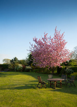 garden design